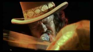 Zucchero Live In Italy  E Delicato [upl. by Olraced]