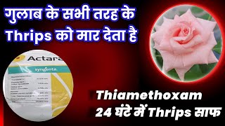 गुलाब के सभी तरह के Thrips को मार देता है 24 घंटे में Thrips साफ Thiamethoxam [upl. by Judus]