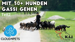 Hundeforscherin Katrin Scholz mit Hundemeute 🐕 Teil 2 [upl. by Norrej184]