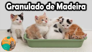 O MELHOR GRANULADO DE MADEIRA PARA GATOS [upl. by Godric]