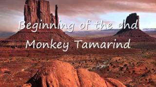 Monkey Tamarind Beginning of the End [upl. by Aicilef]