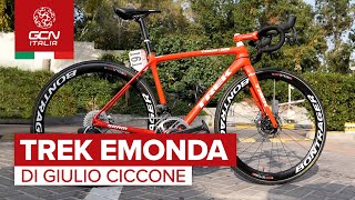 La Trek Emonda di Giulio Ciccone  Biciclette dei professionisti [upl. by Coffin]