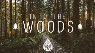 Into The Woods 🌲  A Mysterious FolkPop Playlist [upl. by Odanref]