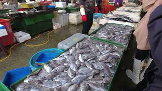 竹圍漁港魚市秘境：海鮮饗宴English Bamboo Weir Fishing Port Fish Market Wonderland Seafood Feast [upl. by Bhayani]