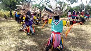 Kochia dancers  cultural at Nyagoro chief camp [upl. by Htiek88]