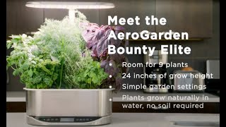 Pruning Lettuce with AeroGarden Bounty [upl. by Warford]