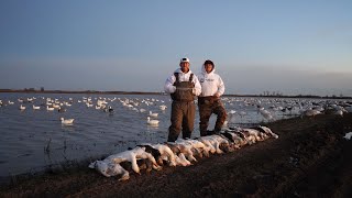 Redneck Deluxe Portable Waterfowl Blind  Macks Prairie Wings [upl. by Cirre33]