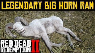 Legendary Big Horn Ram  Red Dead Redemption 2 [upl. by Etnoj413]