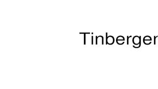 How to pronounce Tinbergen [upl. by Hardi]