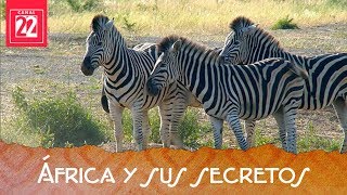 África continente enigmético África y sus secretos [upl. by Ycrad]