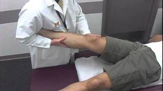 Medial Collateral Ligament Stability Test [upl. by Cressler]