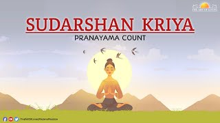 Sudarshan Kriya Pranayam Count  3 Stage Pranayam  Bhastrika  Om Chanting  By Parag Khandelwal [upl. by Eile]