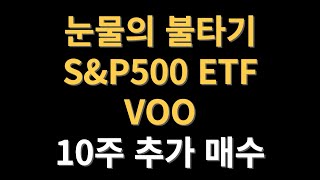 SampP500 ETFVOO 적립식 장기투자 눈물의 불타기 [upl. by Gerhardine]