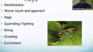 Cantharis Vessicatoria Homeopathic Medicine Tips For Beginners [upl. by Burwell]