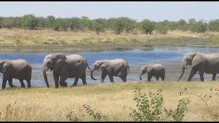 Epacha game Lodge and Spa Namibia [upl. by Elatsyrc945]