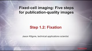 12 Fixation–Fixed cell imaging 5 steps for publicationquality images [upl. by Jari]