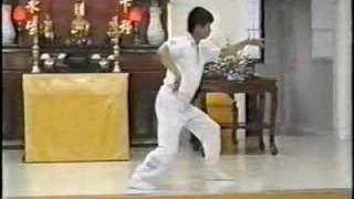 Wang Shu Jin Tai Chi form 2 of 2 [upl. by Enila]