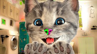 LITTLE KITTEN ADVENTURE  A FUN CAT GAME FOR KIDS  EXPLORE A WORLD FULL OF ADVENTURE [upl. by Shane]