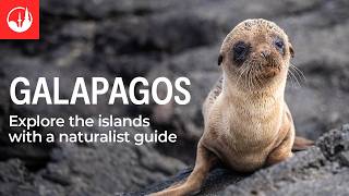 Experience the Galapagos Islands with Intrepid Travel [upl. by Eidur842]