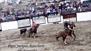 toros mata caballos puro jaripeo ranchero michoacan [upl. by Gabriello]