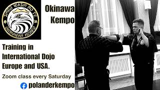 Okinawa Kempo Speed and Accuracy [upl. by Meras]