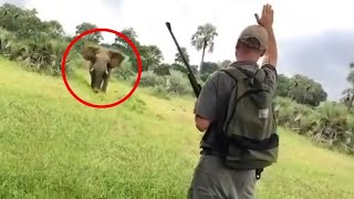 20 Times African Safari Trips Went Horribly Wrong [upl. by Echo928]