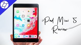 iPad Mini 5 2019  The FULL Story after 30 days of use [upl. by Barnabe939]