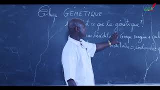 Cours  Terminale  SVT  Génétique  Introduction [upl. by Lamhaj]