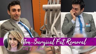 Laser Fat Melting  SculpSure Treatment Experience 🍰🔥 [upl. by Meilen]