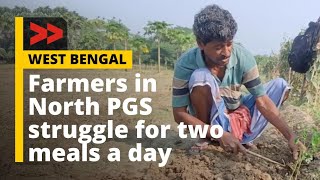 জলবায়ু পরিবর্তনের বিরূপ প্রভাব কৃষিতে  North PGS farmers battle for two meals a day [upl. by Elletnahc247]