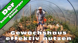 Gewaechshaus effektiv nutzen [upl. by Kym332]