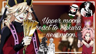 🍒🌸Upper Moons Reacting to Sakura as New Upper Moon🌸🍒 [upl. by Meikah11]