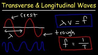 Transverse and Longitudinal Waves [upl. by Elston579]