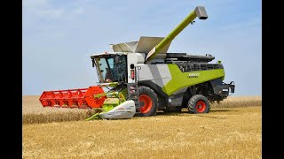 Fauville SPRL a la moisson des froments avec une Claas Lexion 6800 [upl. by Ingvar966]