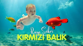 Rüya Şehri  Kırmızı Balık Çocuk Şarkısı [upl. by Avitzur]