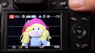 AE and AF lock AFF AFS and AFC focus styles on Panasonic Lumix Cameras Explained [upl. by Ano706]