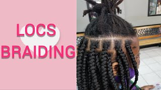 MUST WATCH LOCS BRAIDING  BOX BRAIDS OVER LOCS  DREADS [upl. by Ayt]