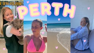 PERTH VLOG♡ I HELD A KOALA FEEDING KANGAROOS SCARBOROUGH BEACH CAVERSHAM WILDLIFE PARK [upl. by Guinna]