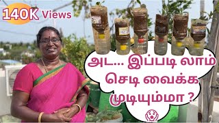 Maadi Thottam ✨அட இப்படி லாம் செடி வைக்க முடியும்மா  Hydroponic 😱garden maadithottam [upl. by Tonkin38]