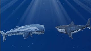 megalodon vs livyatan vs mosasaurus [upl. by Acceb]