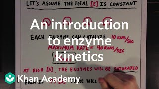 An introduction to enzyme kinetics  Chemical Processes  MCAT  Khan Academy [upl. by Etti477]