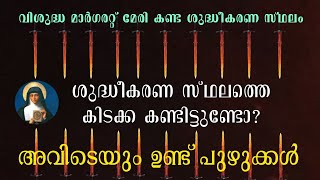 Nov 3  ശുദ്ധീകരണ സ്‌ഥലത്തെ കിടക്ക കണ്ടിട്ടുണ്ടോ അവിടെയും ഉണ്ട് പുഴുക്കൾ 😢🦎🐛 [upl. by Brunell]