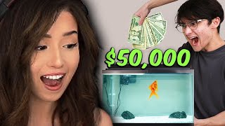 Pokimane reacts to I Gave My Goldfish 50000 to Trade Stocks [upl. by Eak]