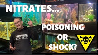 NITRATESPoisoning Or Shock How to Reduce Nitrates [upl. by Lamonica]