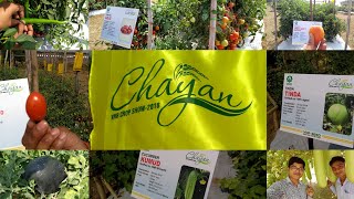 Chayan 2018  Achivements of VNR Seeds Pvt Ltd [upl. by Goddard199]