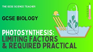 GCSE Biology Photosynthesis Required Practical AQA OCR Edexcel [upl. by Akiehsal888]