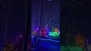 Zoo Lights 2023 [upl. by Yuzik224]