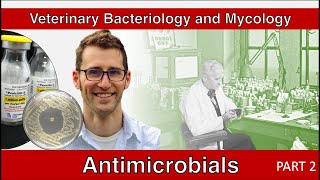 Antimicrobials Part 2  Veterinary Bacteriology and Mycology [upl. by Parrnell477]