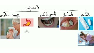 Pharmacologie  voies dadministration [upl. by Ahseila]