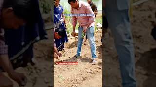 Tomato planting in kitchen garden Dr Aashok Varma gardening nutrition [upl. by Lang]